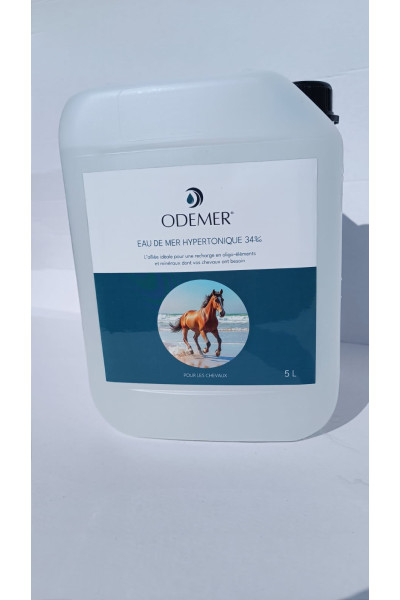 Eau de mer Hypertonique chevaux