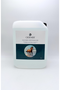 Eau de mer Hypertonique chevaux